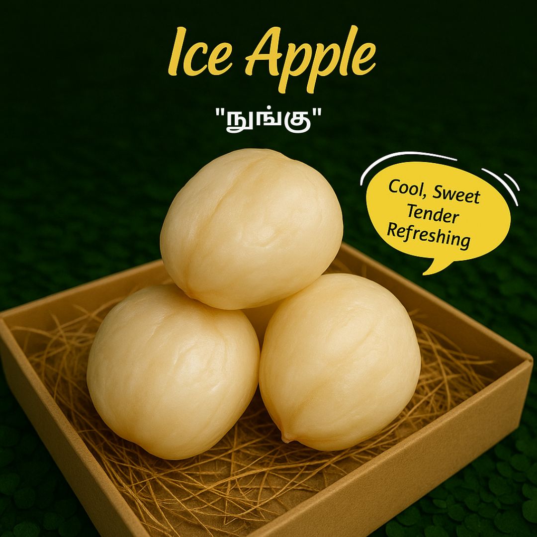 Ice Apple (Palm Fruit)