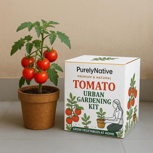 Tomato Gardening Kit