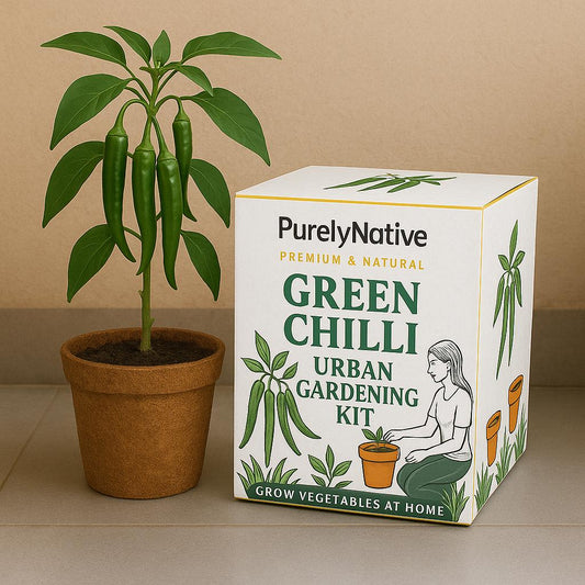 Green Chilli Gardening Kit