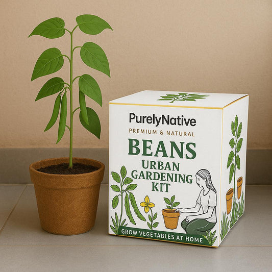 Beans Gardening Kit